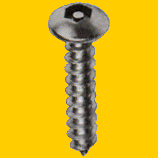 Tamper Proof Screws